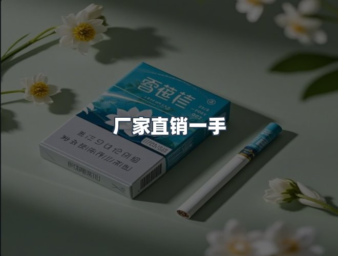 服务优势